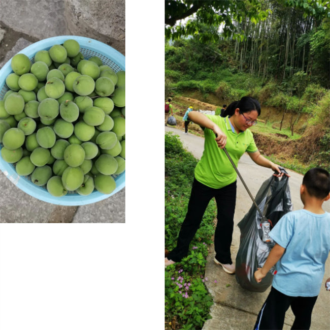 生命和綠色擁抱，人類(lèi)與生態(tài)共存——2023年廣東博皓公益活動(dòng)   -1